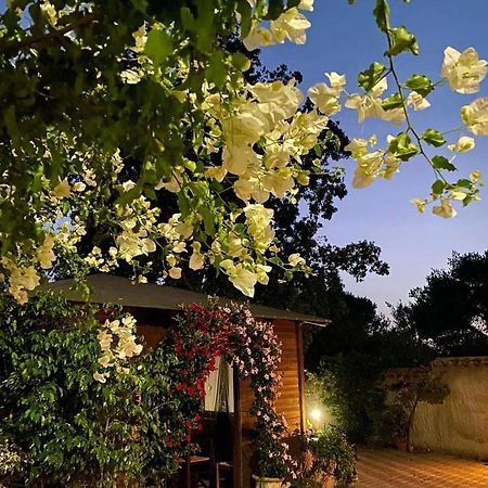 B&B Il Girasole SantʼAnna Arresi Екстериор снимка