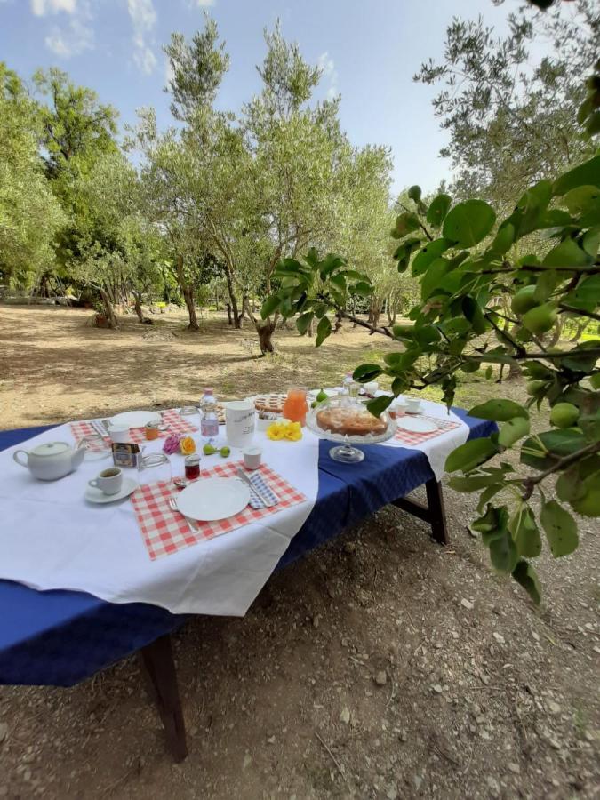 B&B Il Girasole SantʼAnna Arresi Екстериор снимка