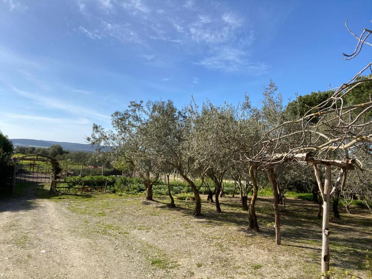 B&B Il Girasole SantʼAnna Arresi Екстериор снимка