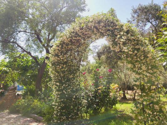 B&B Il Girasole SantʼAnna Arresi Екстериор снимка